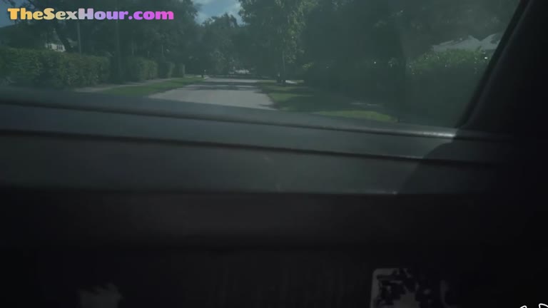 Pickedup Medium Titted Teen Publicly Pussyfucked In Car