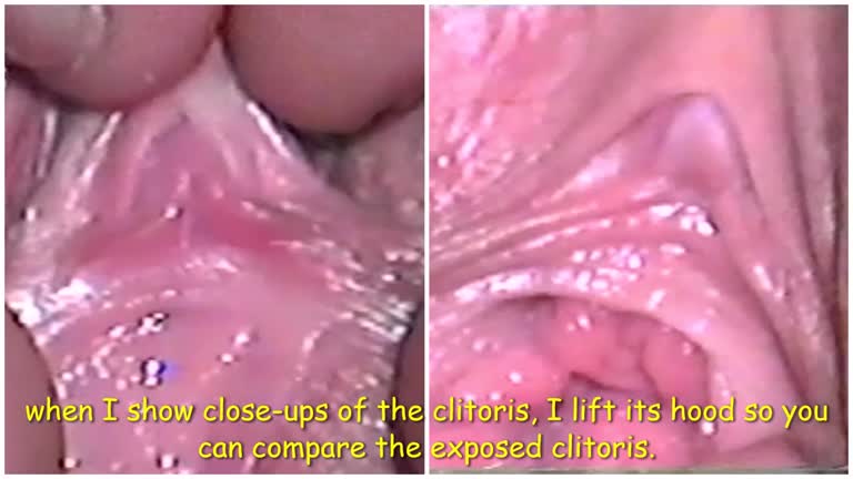 Comparison Porn Video