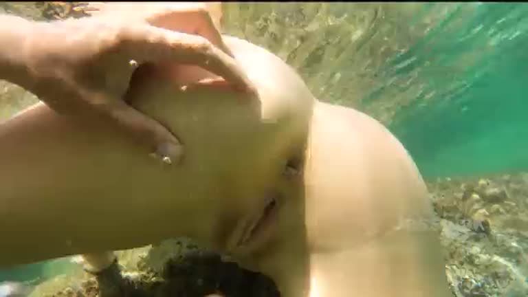 Jessikajek Went For A Swim And Got Her Holes Fucked