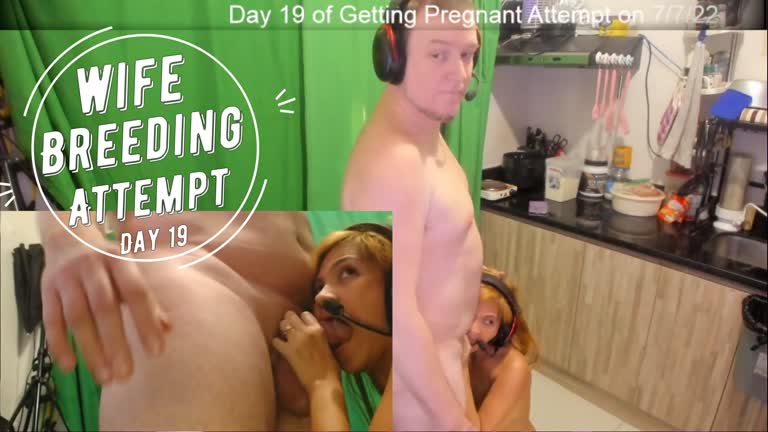 Day 19 Wife Breeding Attempt