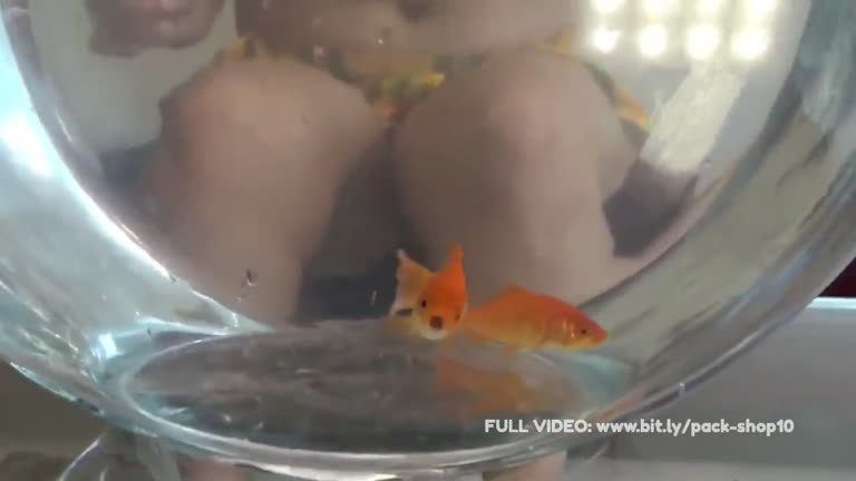 Hungry And Evil Woman Gives A New Home To Her Little Fish